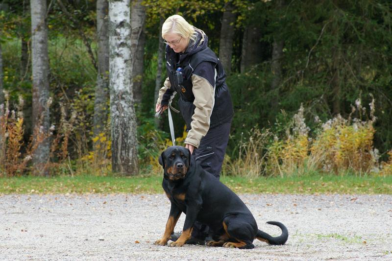 PK kurssi (10).jpg
